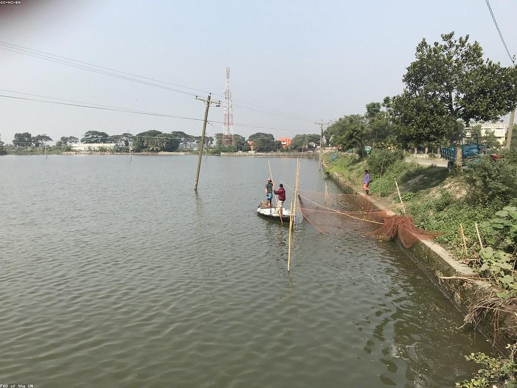 វិធីសាស្ត្រនិងបច្ចេកទេសសម្រាប់ការប្រើប្រាស់ឧបករណ៍បាញ់ត្រី