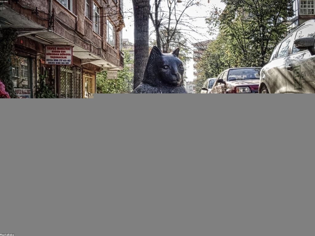 ភាពជោគជ័យក្នុងជីវិត