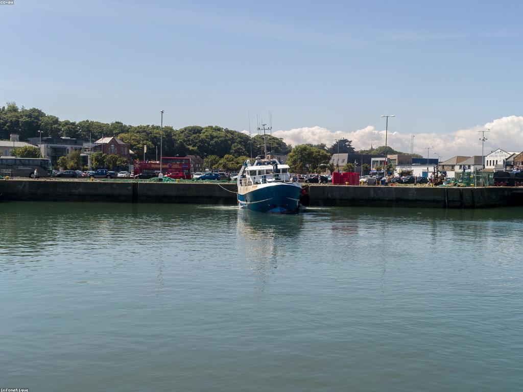 ឧបករណ៍បាញ់ត្រី: ការស្វែងរកនិងប្រើប្រាស់