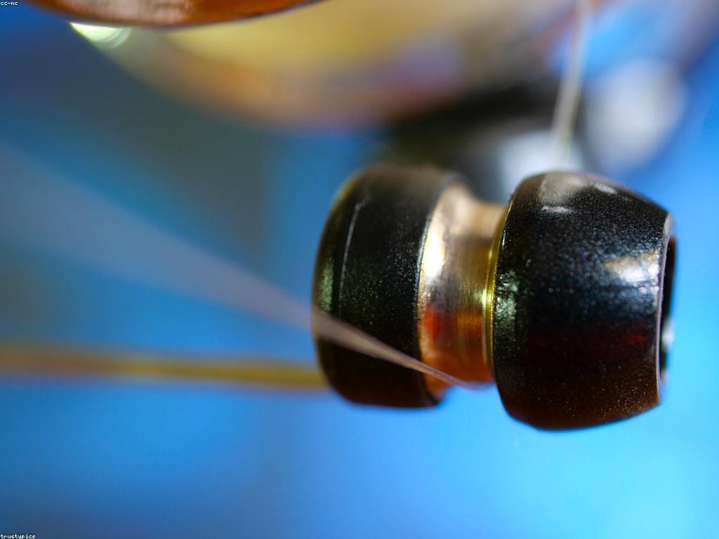 ឧបករណ៍បាញ់ត្រីល្អបំផុតសម្រាប់អ្នកចាប់ត្រី