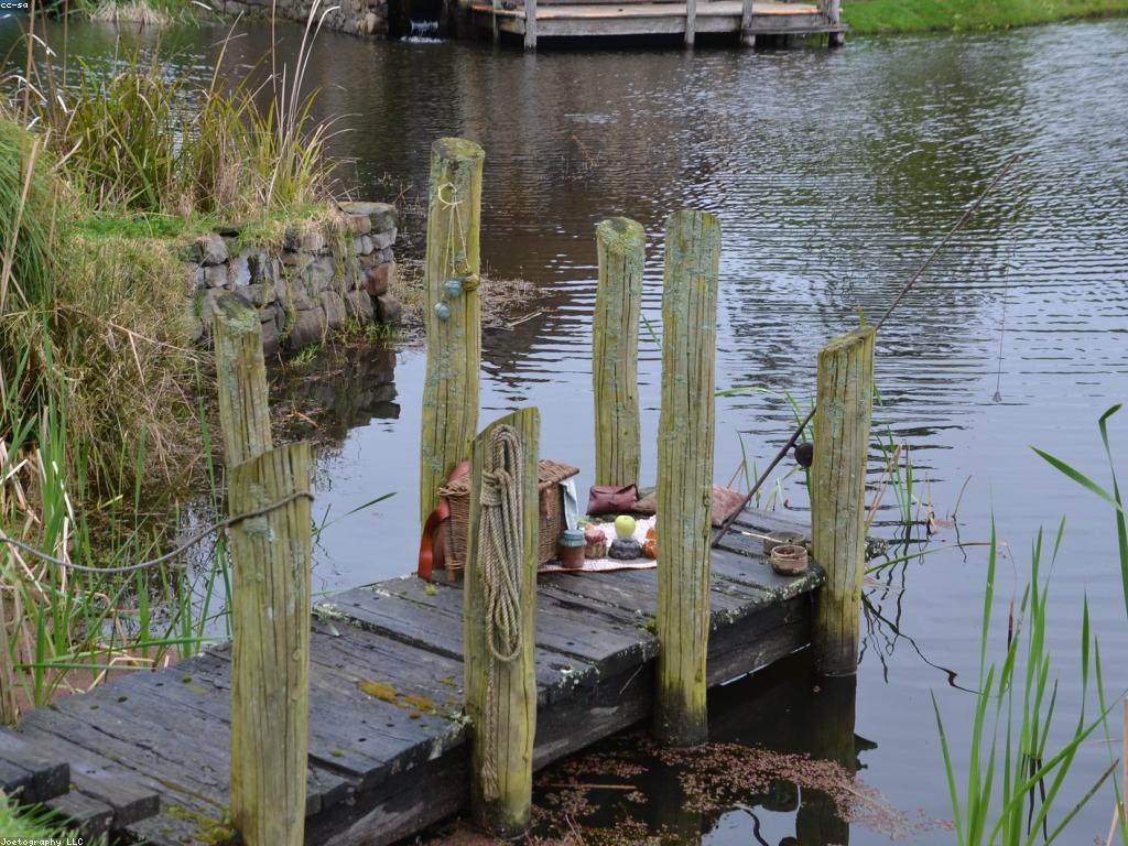 អត្ថប្រយោជន៍នៃការប្រើប្រាស់ឧបករណ៍បាញ់ត្រី