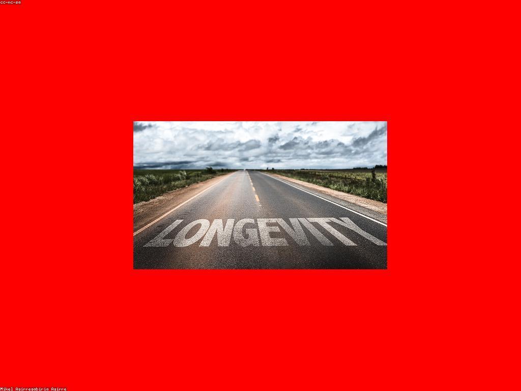 របៀបដើម្បីទទួលបានភាពជោគជ័យក្នុងជីវិត