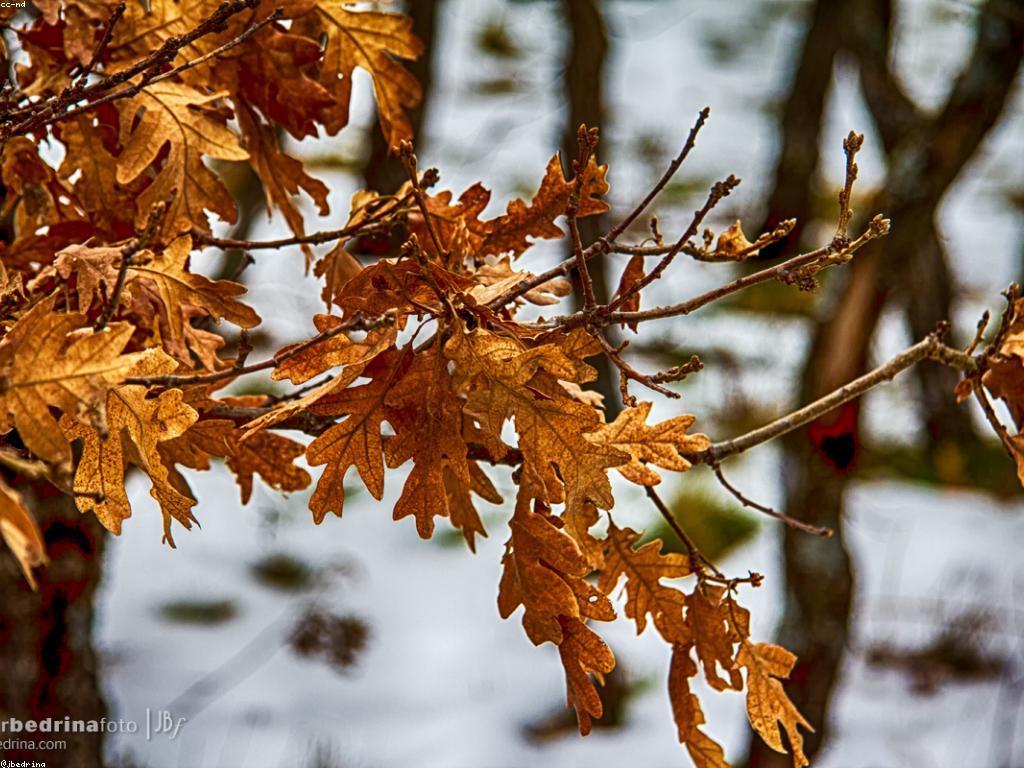 របៀបដើម្បីទទួលបានភាពជោគជ័យក្នុងជីវិត